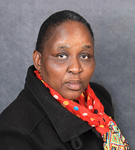 Mrs B. Tshepe